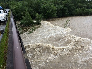 f0164003_15391262.jpg