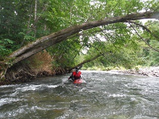 f0164003_15464410.jpg