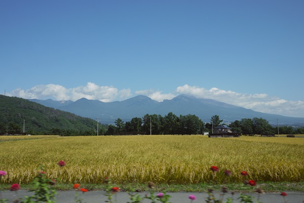 d0133704_1472650.jpg