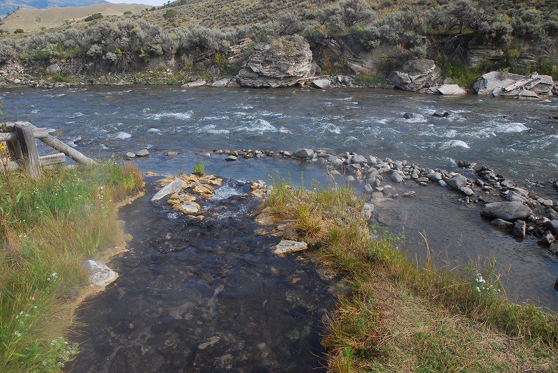 b0021211_9501585.jpg