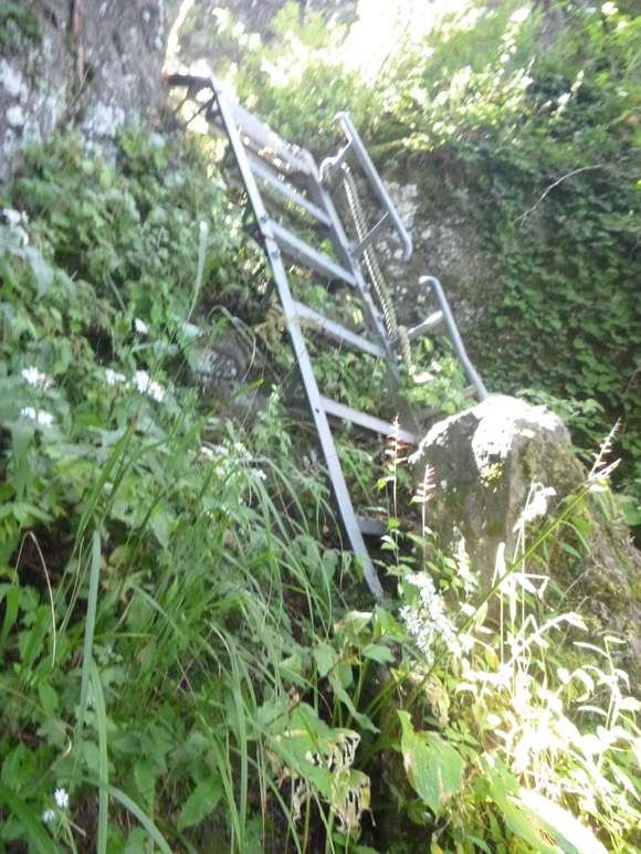 d0170615_16185193.jpg