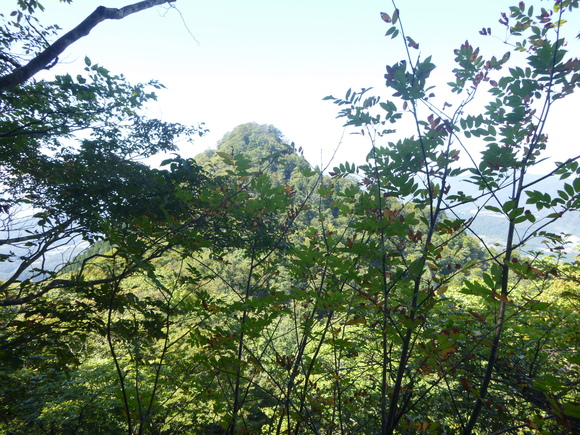 d0170615_1620431.jpg