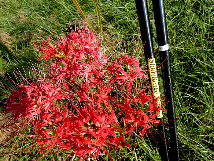 f0103126_20371051.jpg