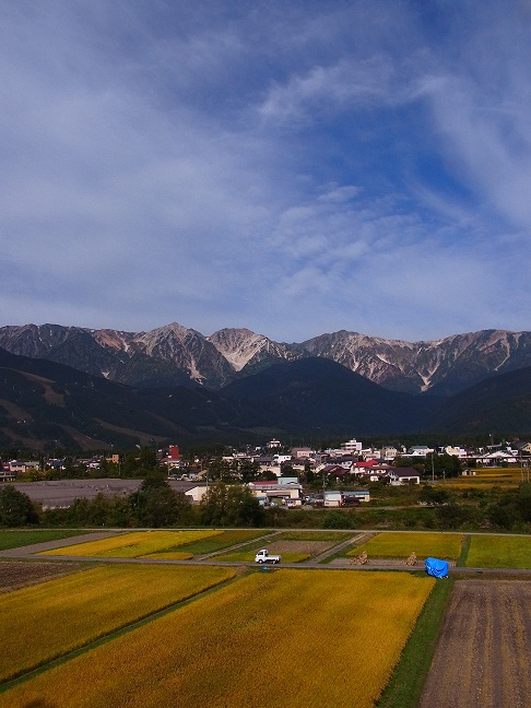 c0225927_963686.jpg