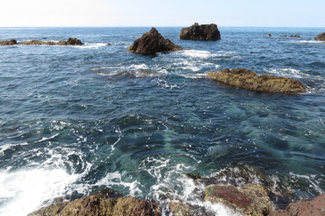f0017530_20411614.jpg