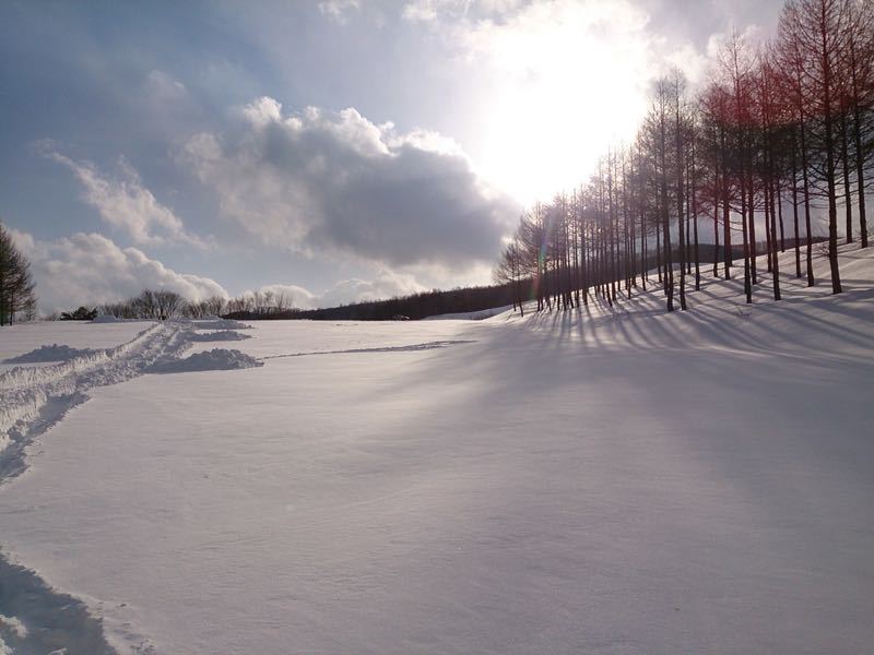 b0033935_5183546.jpg