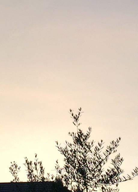 c0220337_923232.jpg