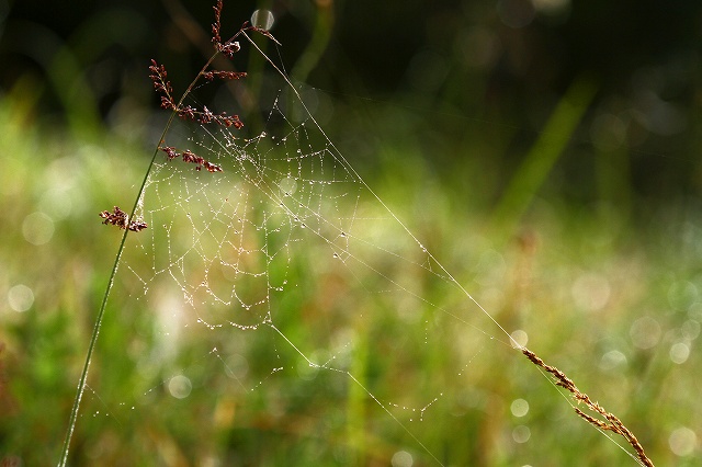 a0242438_18191449.jpg