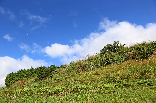 a0242438_18202245.jpg