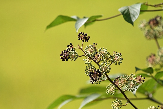 a0242438_1827150.jpg