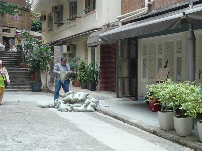 d0240442_94593.jpg