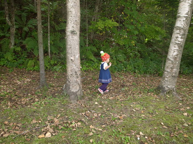 b0219843_22172758.jpg