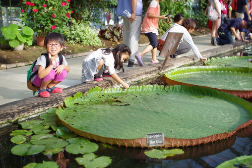 a0299749_2120376.jpg