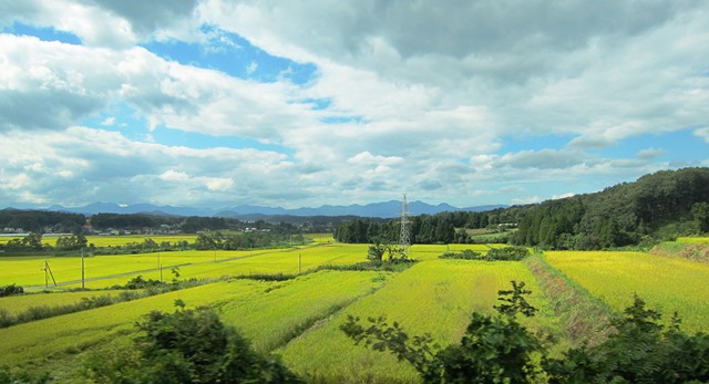 b0289649_15254210.jpg