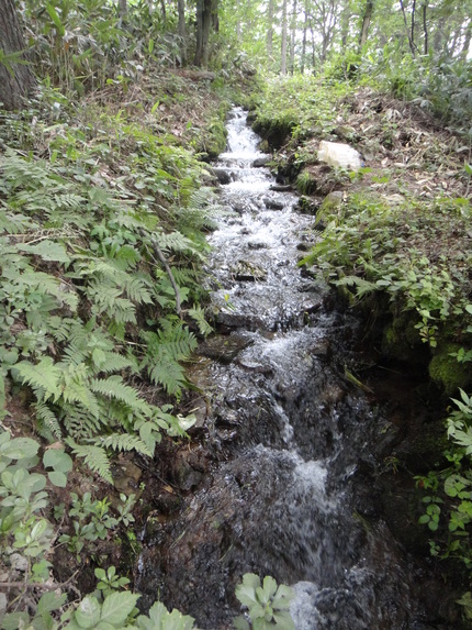 d0225149_914238.jpg
