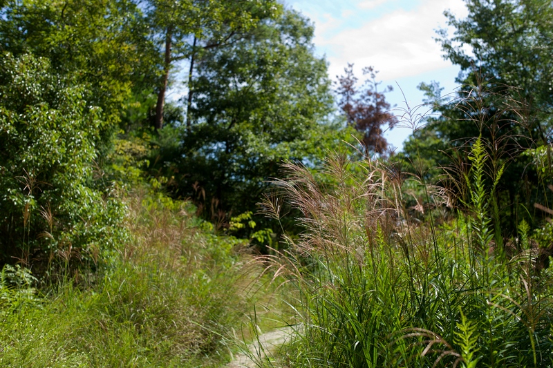 f0323351_10342830.jpg