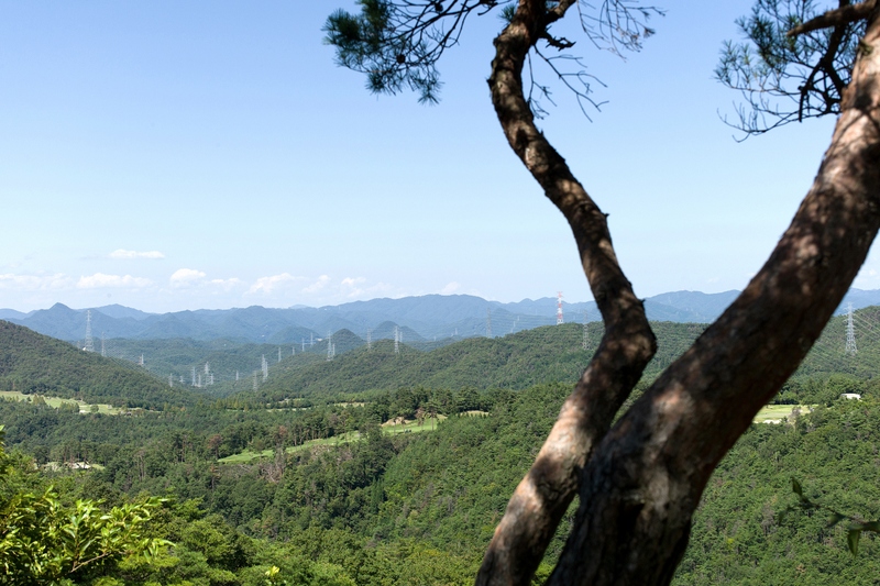f0323351_10350323.jpg