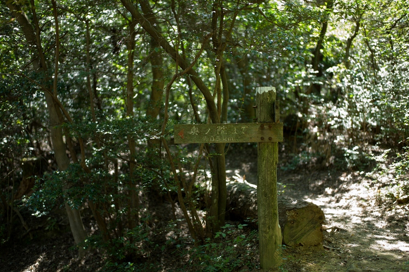 f0323351_10362674.jpg