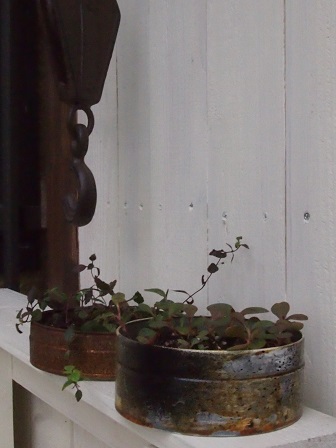 b0246758_15051836.jpg