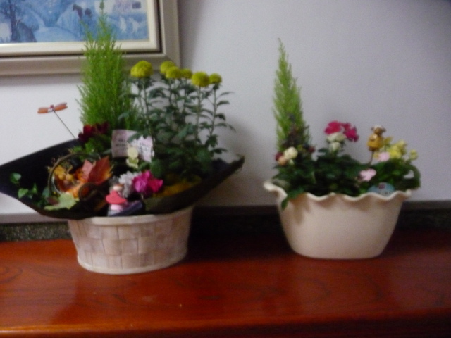 f0208760_1645562.jpg