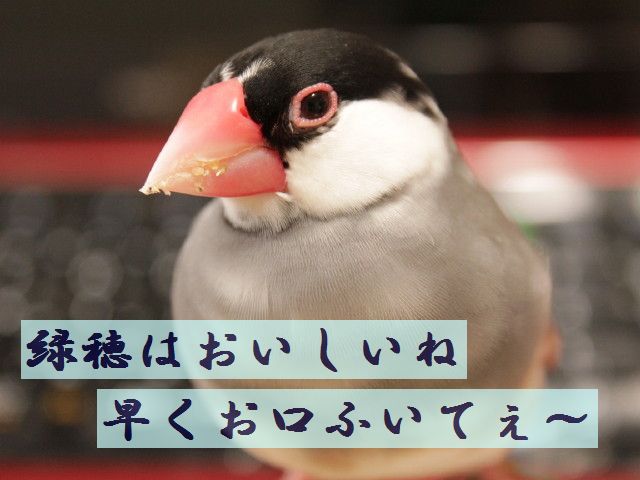 b0158061_21361063.jpg