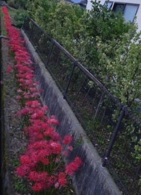 e0290872_218231.jpg