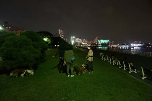 a0157174_19311096.png