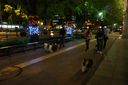 a0157174_1961297.png