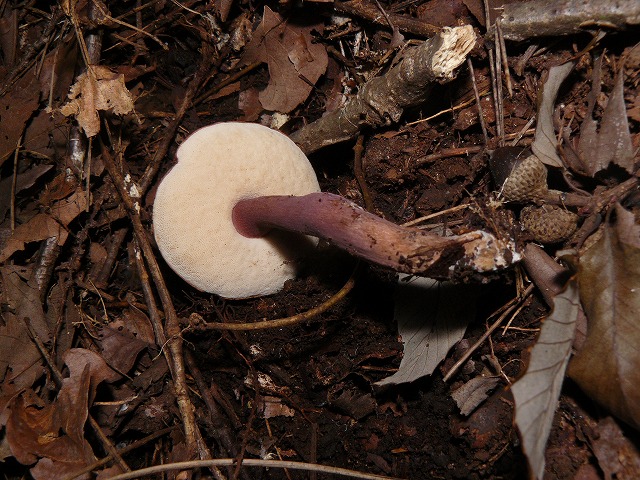 d0019074_14301780.jpg