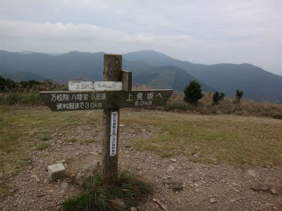 d0182075_3543739.jpg