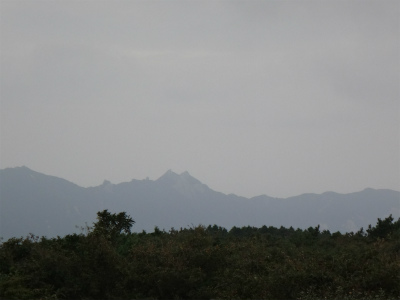 d0182075_3564459.jpg