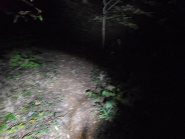 c0206177_04292430.jpg