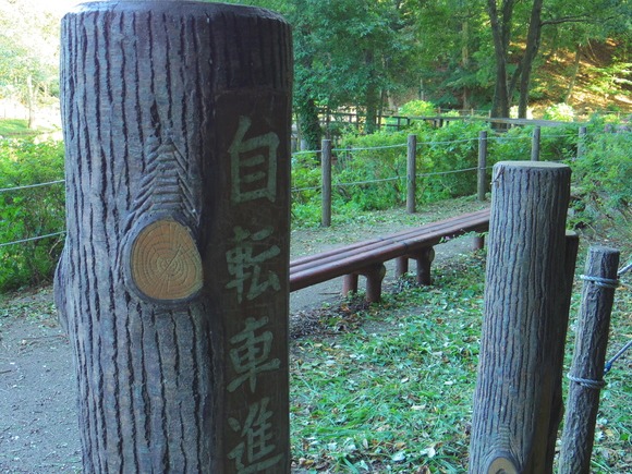 a0152078_1493840.jpg