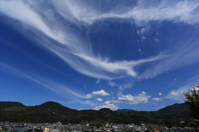 f0037378_16435697.jpg
