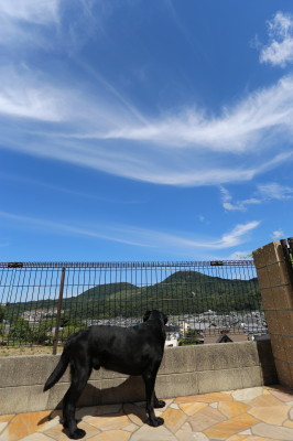 f0037378_1644137.jpg