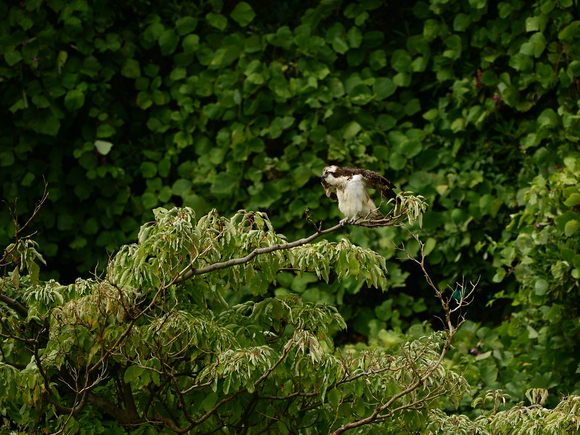 d0157380_16151992.jpg
