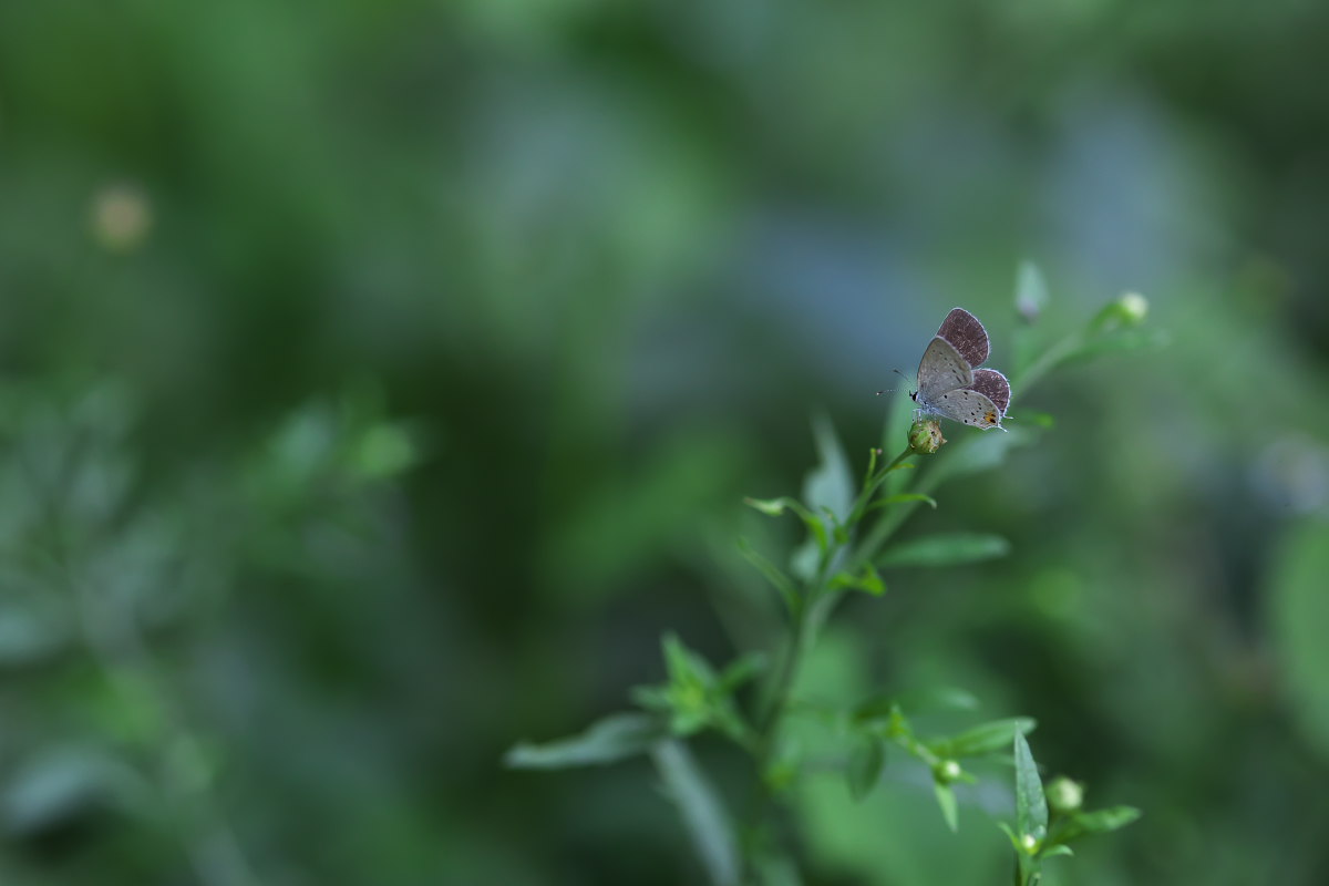 a0083081_16361571.jpg