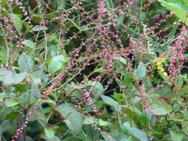 f0357487_23332112.jpg