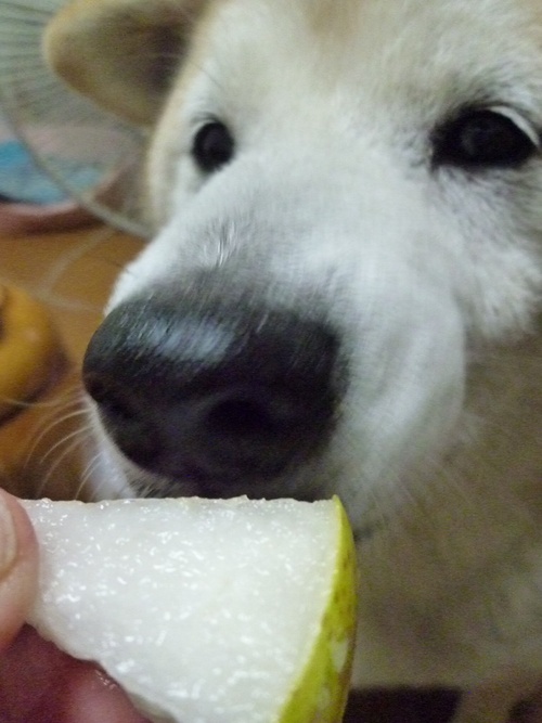 c0123890_20122278.jpg