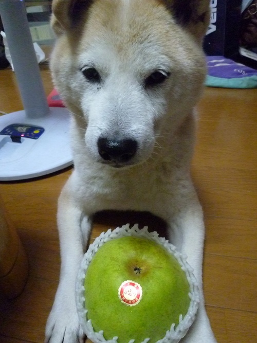 c0123890_2012326.jpg