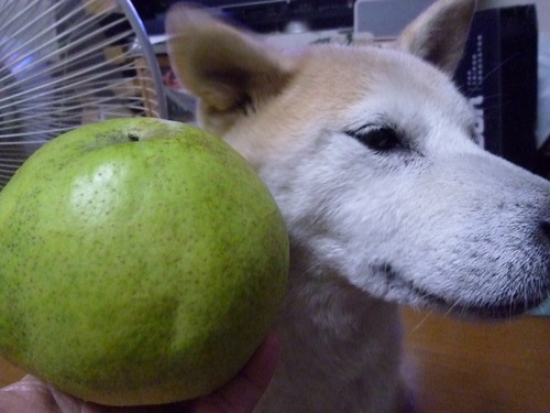 c0123890_2062100.jpg