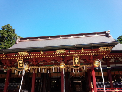 d0129296_1715951.jpg