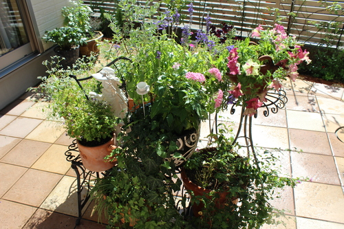 a0190999_16525384.jpg