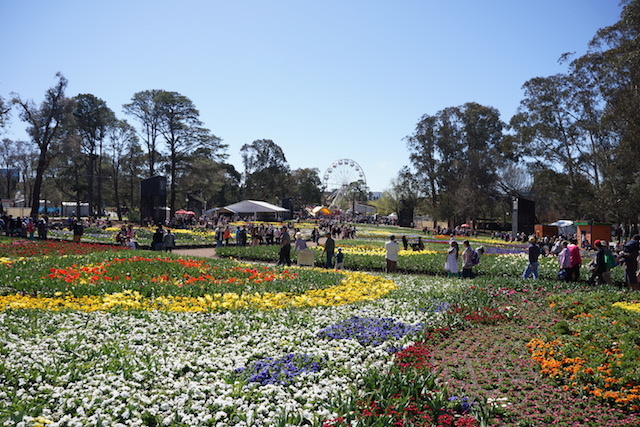 e0006999_19214559.jpg