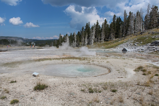 c0153302_11555350.jpg