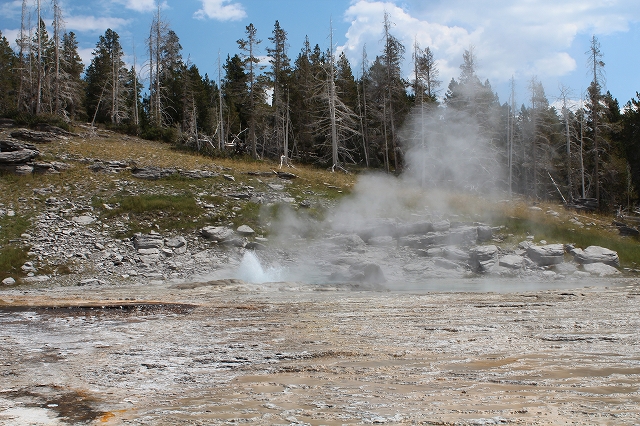 c0153302_11561730.jpg