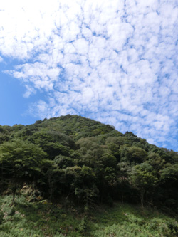a0249004_11362490.jpg