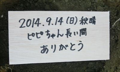 a0249004_11575495.jpg