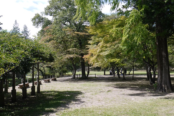 d0133704_13555062.jpg