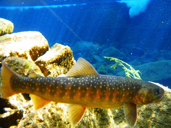 e0123808_1914186.jpg